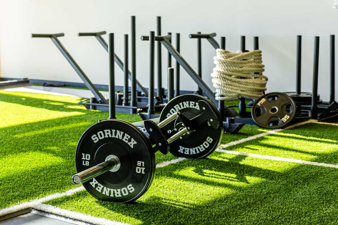 Image of a barbell on artificial turf